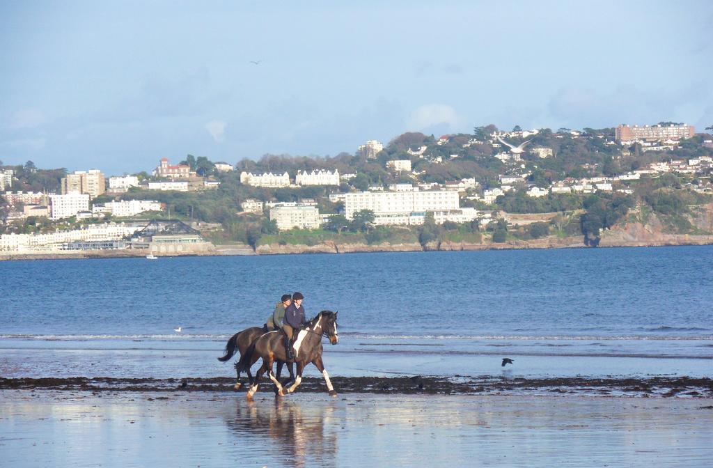 Rosemead Guest House Paignton Exteriér fotografie